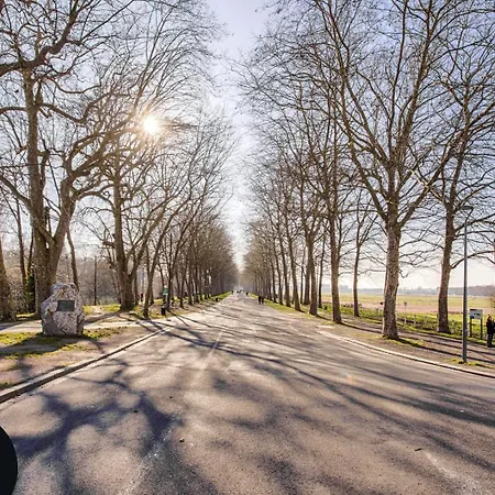 דירה Panoramic Unique View & Private Parking קאין